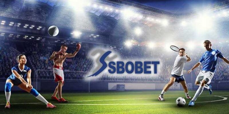 Các Bộ Môn Thể Thao Hot Nhất Tại SBO Sports